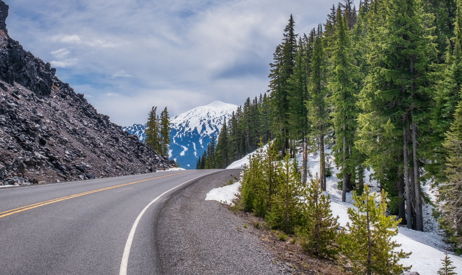 Nathia Gali forest hills