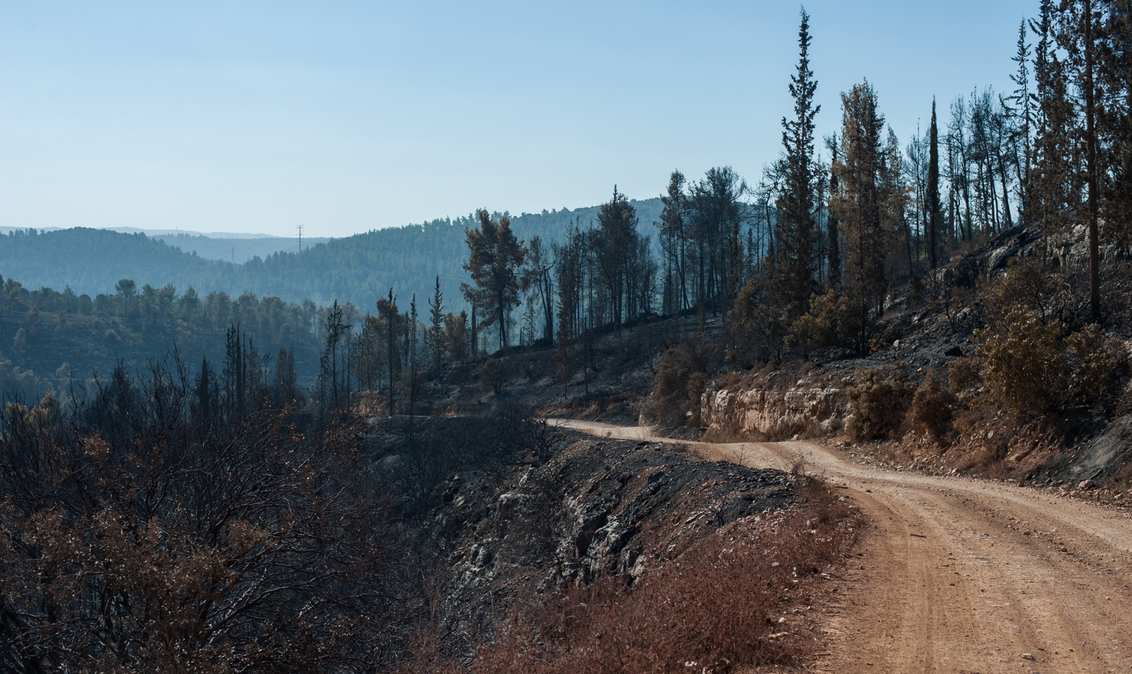 Pipeline Track walking route in the hills